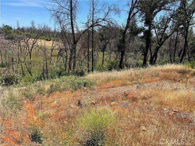 5500 Berry Creek Drive, Paradise, CA 95969