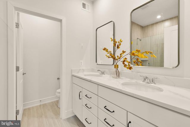 21767 DOLLIS HILL TER, Broadlands, VA 20148