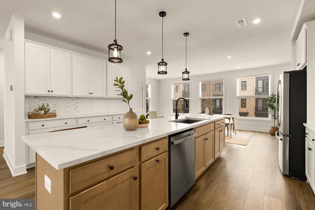 21767 DOLLIS HILL TER, Broadlands, VA 20148