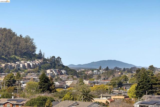 1509 Francis St, Albany, CA 94706