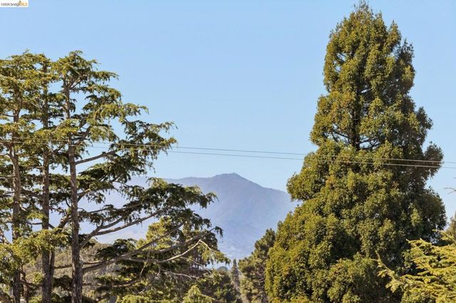 1509 Francis St, Albany, CA 94706