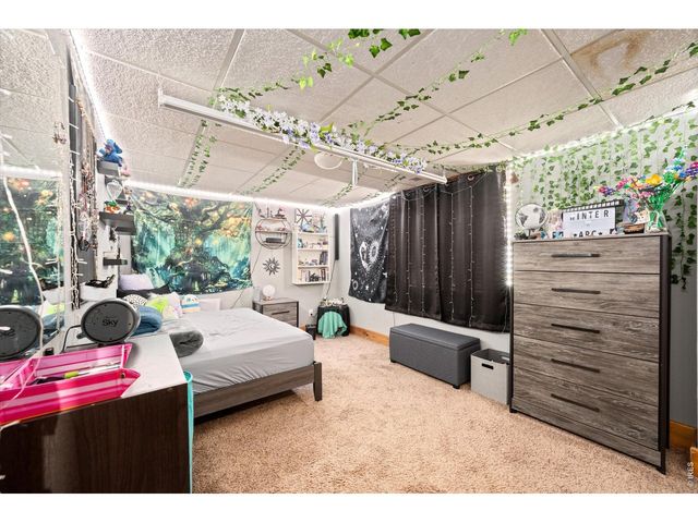 84 Pike Ln, Severance, CO 80550