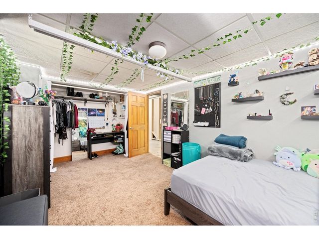 84 Pike Ln, Severance, CO 80550