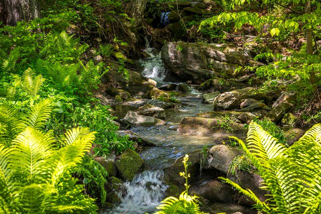 1497 Bowman Road, Barnard, VT 05031