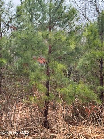 894 Swamp Road, Pantego, NC 27860