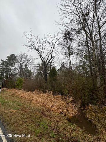 894 Swamp Road, Pantego, NC 27860