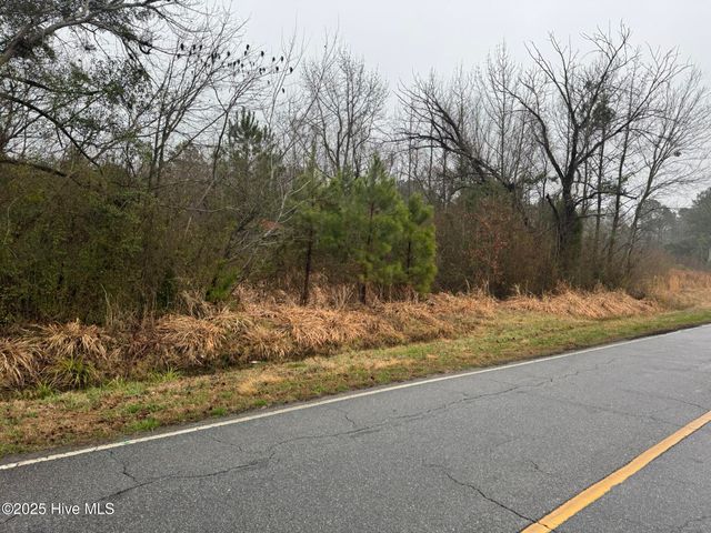 894 Swamp Road, Pantego, NC 27860