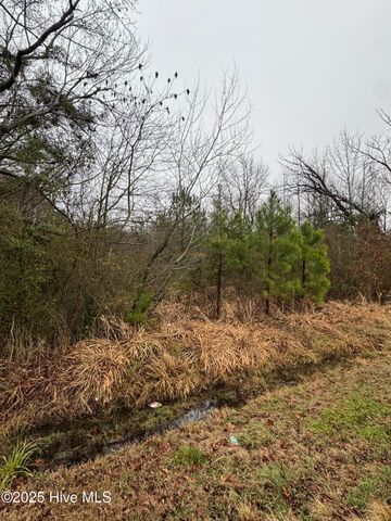 894 Swamp Road, Pantego, NC 27860