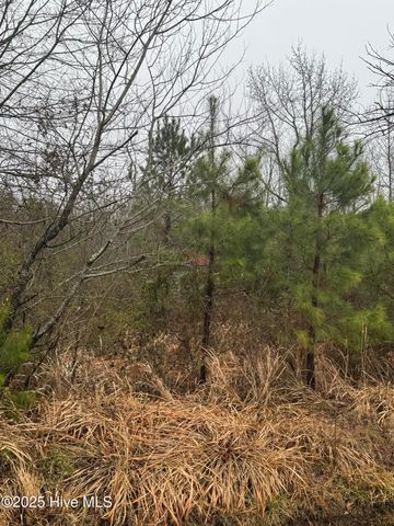 894 Swamp Road, Pantego, NC 27860