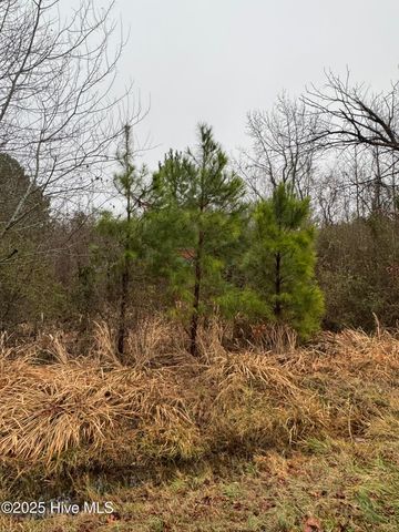 894 Swamp Road, Pantego, NC 27860