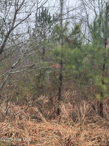 894 Swamp Road, Pantego, NC 27860