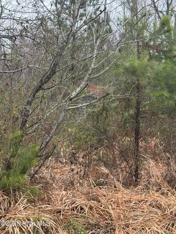 894 Swamp Road, Pantego, NC 27860
