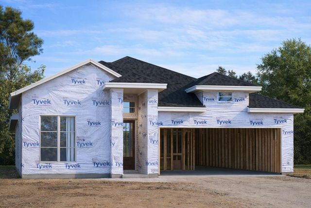 515 Tawny Rim Drive, Willis, TX 77318