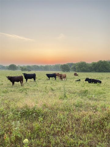 TBD County Road 131, Gainesville, TX 76240