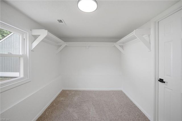 1234 Winburne LN, Norfolk, VA 23502