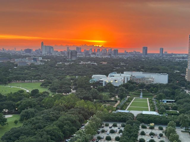 1701 Hermann Drive 22CE, Houston, TX 77019