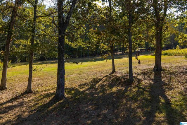 5439 CARRINGTON CIRCLE, Trussville, AL 35173