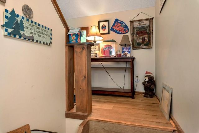 390 Alpenrosen Strasse, Helen, GA 30545