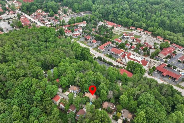 390 Alpenrosen Strasse, Helen, GA 30545