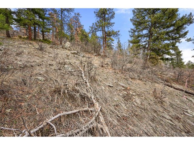 5312 Adahi Rd, Indian Hills, CO 80454