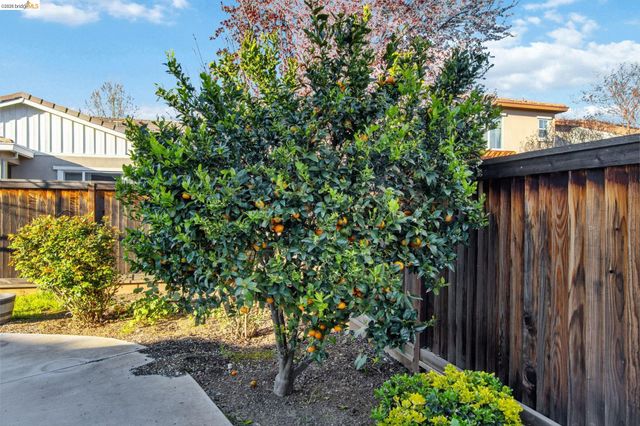 607 Bristol Ct, Brentwood, CA 94513