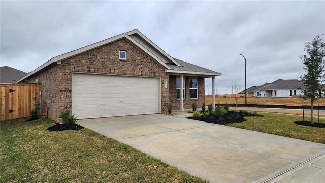 16231 Domestic Dove Way, Hockley, TX 77447