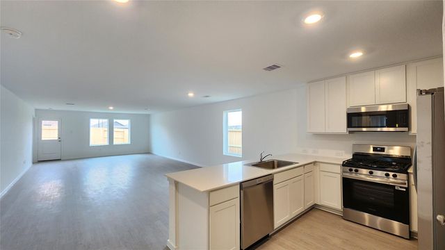 16231 Domestic Dove Way, Hockley, TX 77447