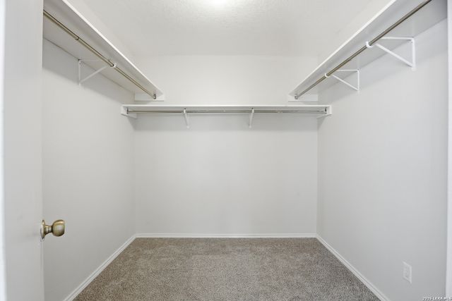 8138 Elktree Pass, San Antonio, TX 78254