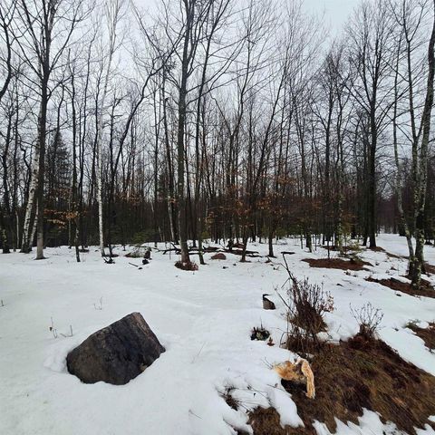 WESTMAN DAM ROAD, Cedar River, MI 49887