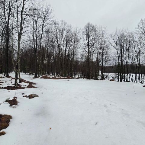 WESTMAN DAM ROAD, Cedar River, MI 49887