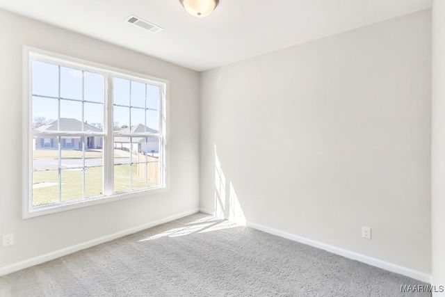 208 Lismore Place, Montgomery, AL 36117