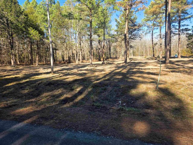 22 Tonsue Drive, Cherokee Village, AR 72529