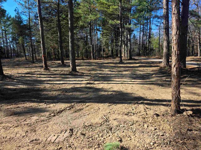 22 Tonsue Drive, Cherokee Village, AR 72529