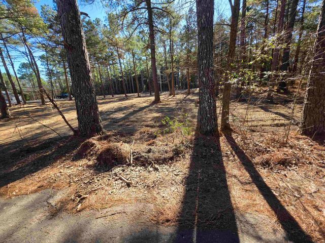 22 Tonsue Drive, Cherokee Village, AR 72529