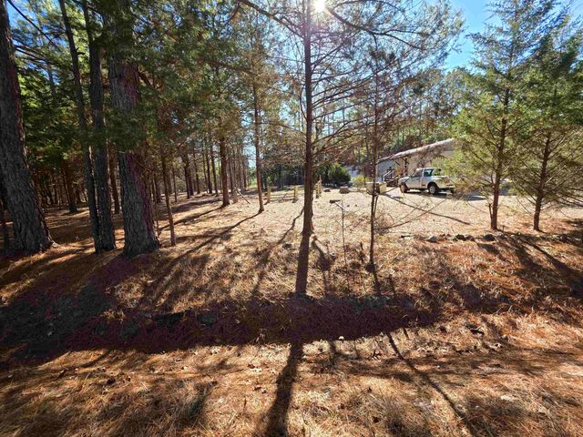 22 Tonsue Drive, Cherokee Village, AR 72529