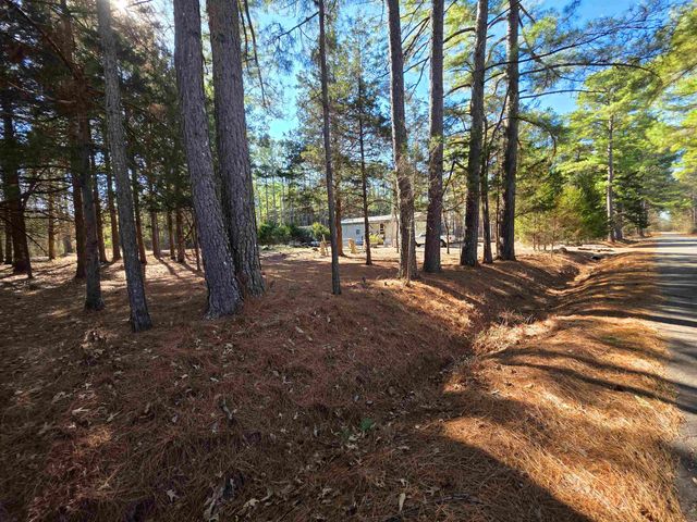 22 Tonsue Drive, Cherokee Village, AR 72529