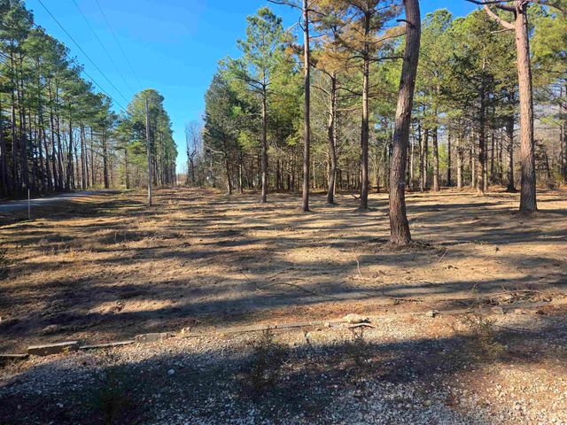 22 Tonsue Drive, Cherokee Village, AR 72529