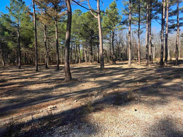 22 Tonsue Drive, Cherokee Village, AR 72529