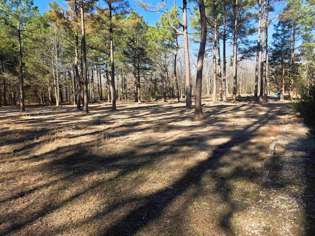 22 Tonsue Drive, Cherokee Village, AR 72529