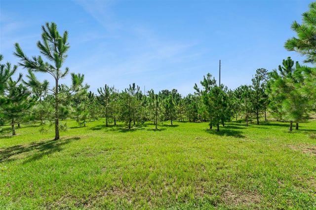 2766 BOBCAT CHASE BOULEVARD, Winter Garden, FL 34787