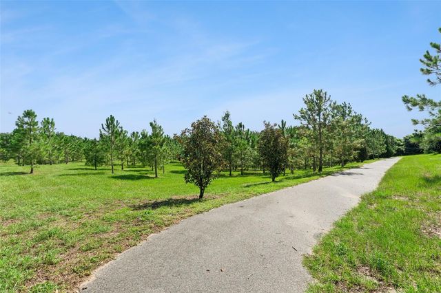 2766 BOBCAT CHASE BOULEVARD, Winter Garden, FL 34787