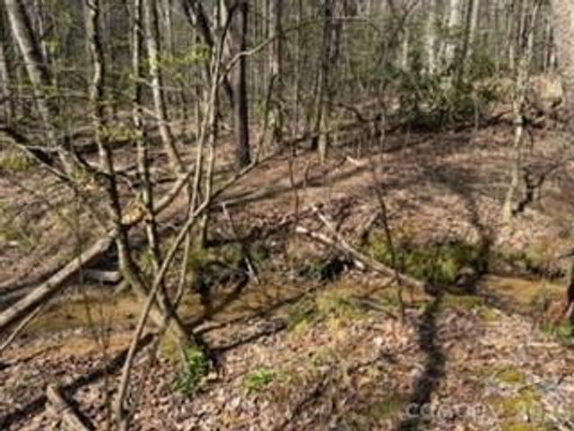 99999 Laura Brooke Drive, Penrose, NC 28766