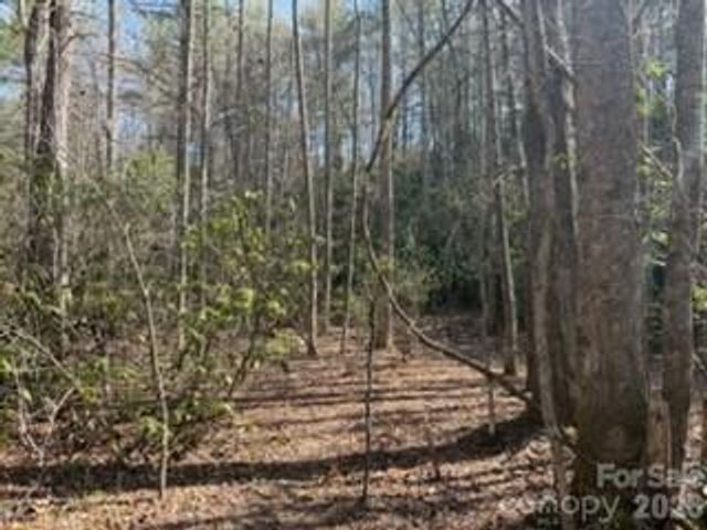 99999 Laura Brooke Drive, Penrose, NC 28766