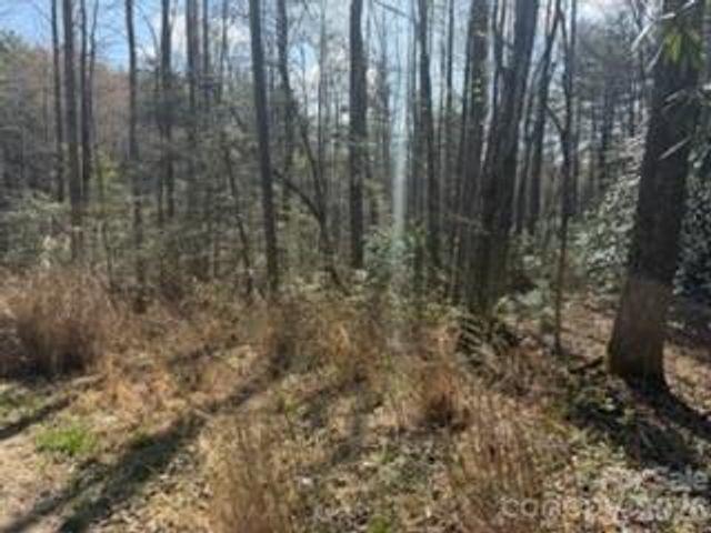 99999 Laura Brooke Drive, Penrose, NC 28766