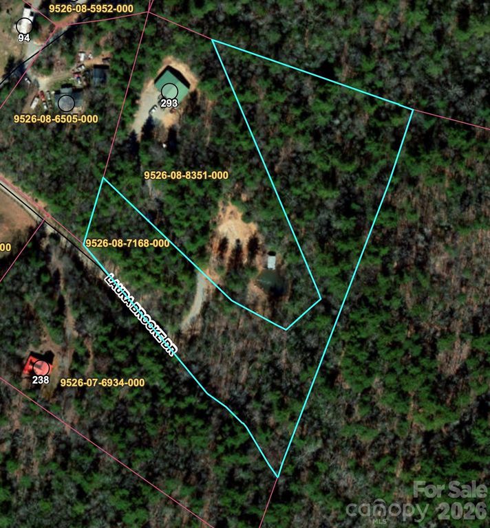 99999 Laura Brooke Drive, Penrose, NC 28766