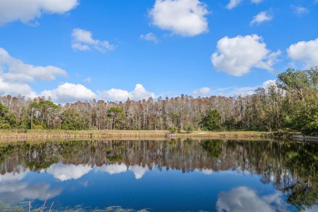 18409 TYLER ROAD, Odessa, FL 33556