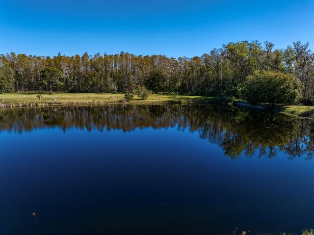 18409 TYLER ROAD, Odessa, FL 33556