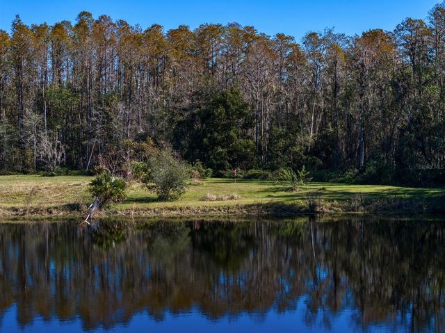 18409 TYLER ROAD, Odessa, FL 33556