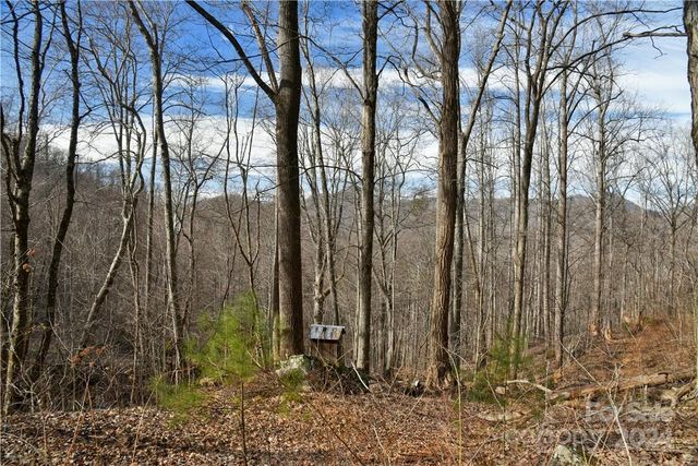 158 Sugar Cove Road, Weaverville, NC 28787