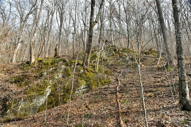 158 Sugar Cove Road, Weaverville, NC 28787